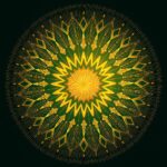 शब्द चक्र (Śabda Cakra) – Cycle of Sound